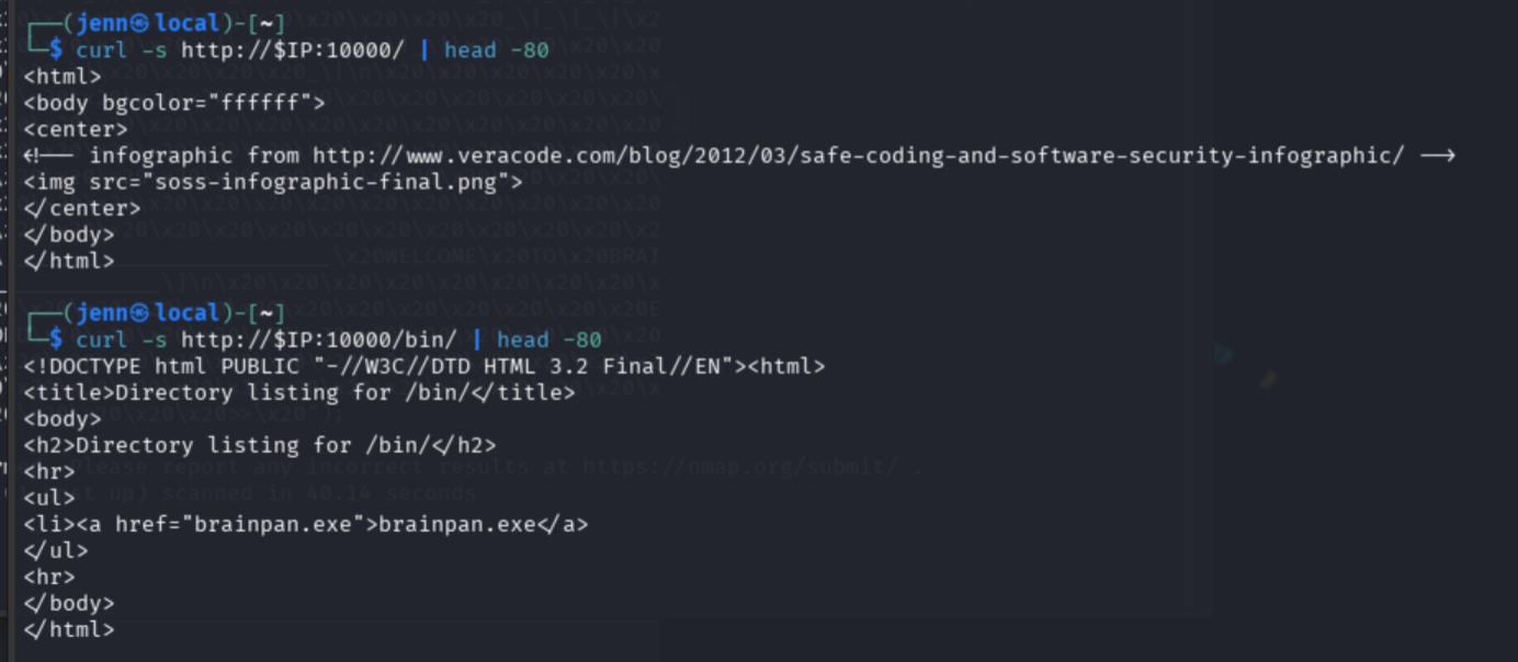curl listing SimpleHTTPServer root and /bin/ directory revealing brainpan.exe